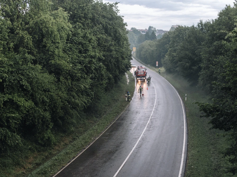 Sed ut perspiciatis unde omnis iste natus